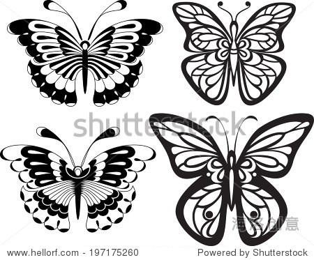 black and white drawing. options stylization