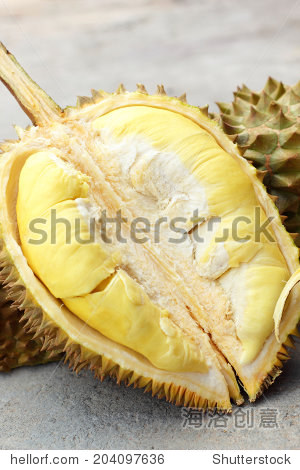 durian fruit ripe for eaten - 图片素材 - 站酷海洛plus正版图片