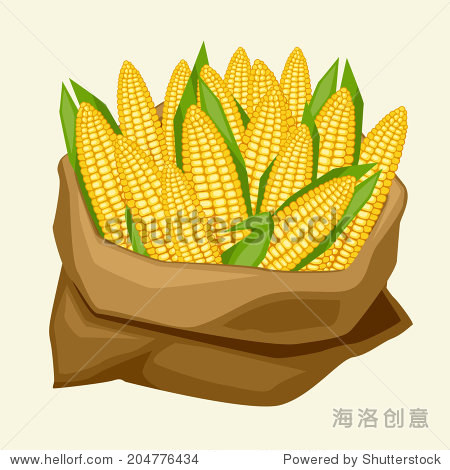 illustration of stylized sack with fresh ripe corn cobs. - 站酷