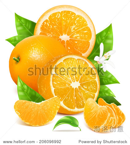 vector illustration for your design. packing orange juicy.