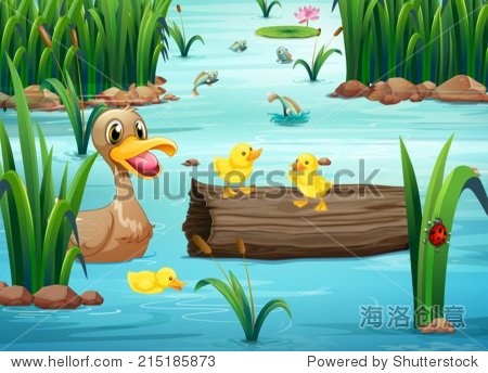 illustration of a pond with animals