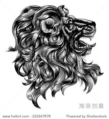 an original illustration of a lion in a vintage woodblock style