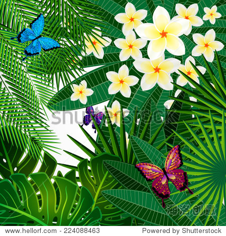 floral design background.