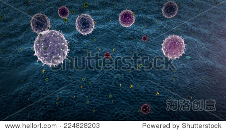 lymphocytes, lymphocyte generates antibodies, lymphocytes