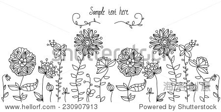 花纹的黑色白线花的草地,花园的花