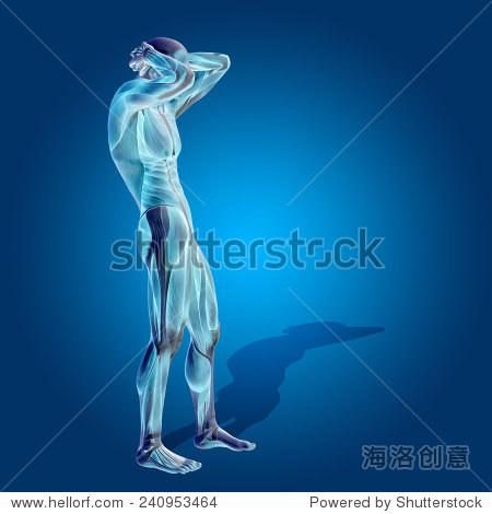 concept or conceptual human or man 3d anatomy body with muscle