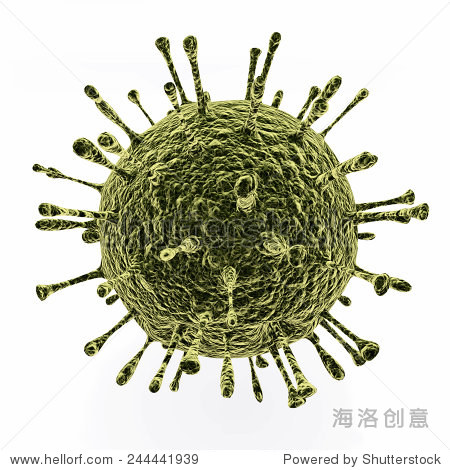 the viruses are transmitted by fecally contamin