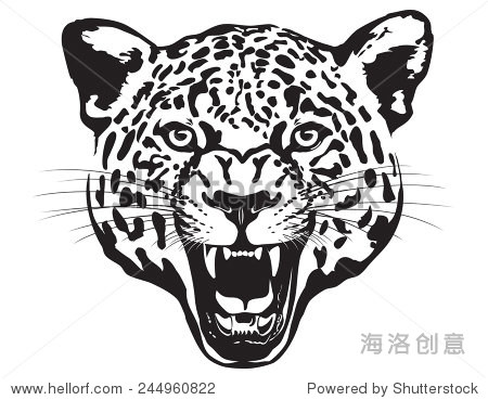 leopard head illustration