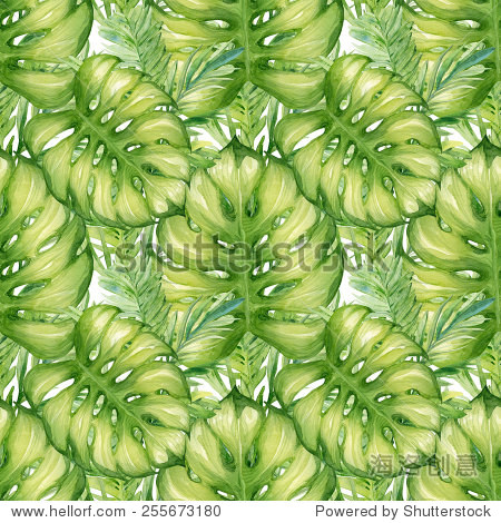 watercolor tropical colorful travel palm and bamboo tree leaves