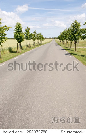 paved road through rural landscape with corn fields in southern