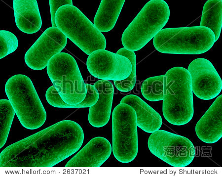 bacteria - 站酷海洛正版图片, 视频, 音乐素材交易平台