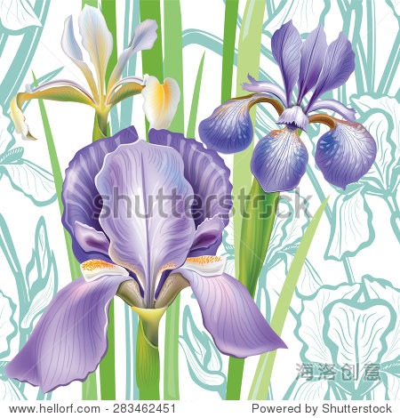 seamlessfloralpatternwithirises