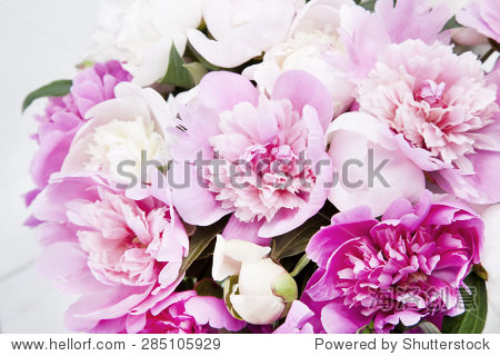 beautiful bouquet of pink and white peonies in a vase is not a