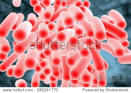 three-dimensional drawing of rod-shaped bacteria