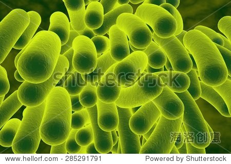 three-dimensional drawing of rod-shaped bacteria