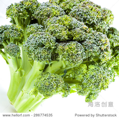 broccoli close up on a white background - 站酷海洛正版图片, 视频