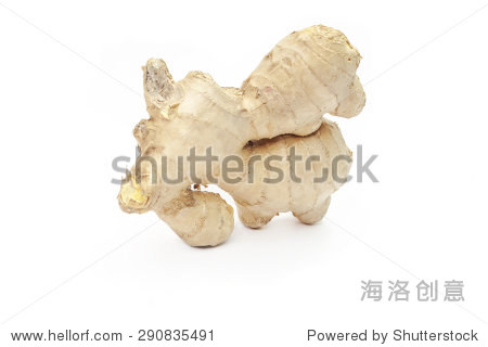 topinambur jerusalem artichoke