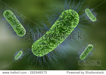 3d illustration of bacteria escherichia coli, salmonella