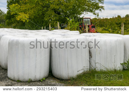 wrapped hay in white bales - 站酷海洛正版图片, 视频, 音乐素材