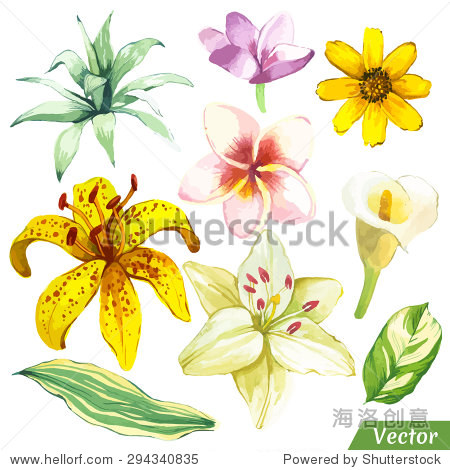 vector illustration with watercolor plants. painting white and y