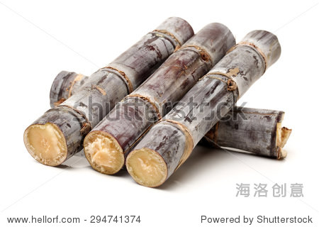 sugar cane isolated on white background