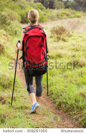 blonde hiker hiking with trekking poles in the nature - 图片素材