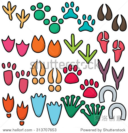 vector set of animal footprints 