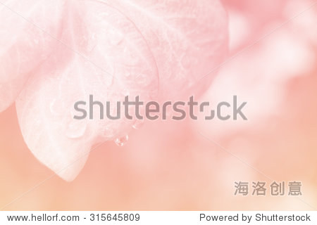 sweet color怎么读音,sweetcolor怎么念