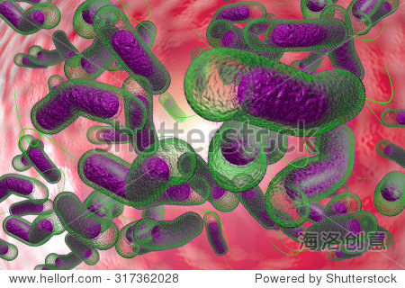 close up 3d illustration of microscopic cholera bacteria