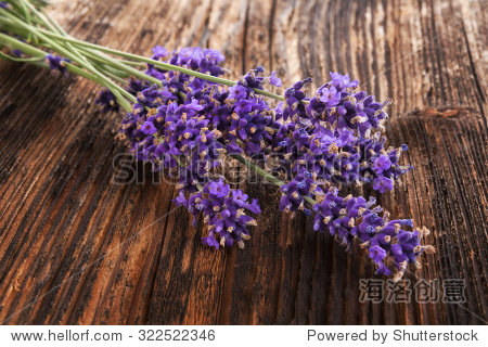 lavenderbackgroundlavenderonbrownagedwoodenbackgroundrustic