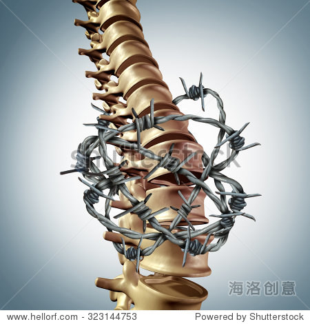 lower back pain disease and human spinal backache with a three