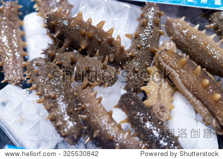 rawseacucumberoniceinfreshchineserestaurant