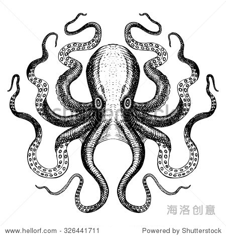 恐怖巨型章鱼简笔画图片