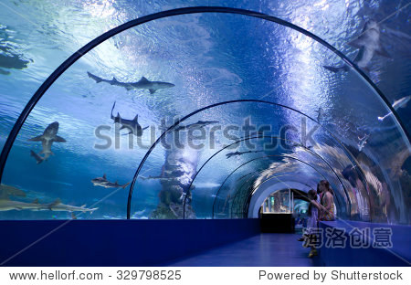 turkey - june 16: children inside the tunnel of the oceanarium