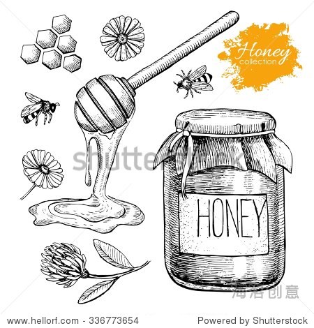 vectorhoneysetvintagehanddrawnillustrationengravedorganicfood