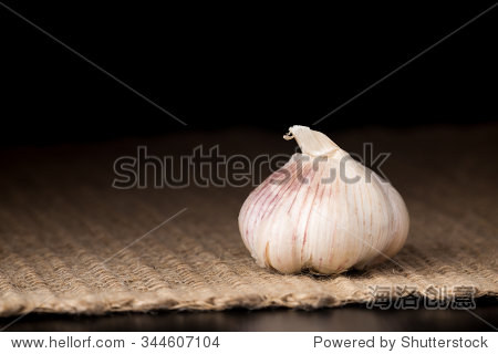 white garlic bulb on the dark background rustic surface