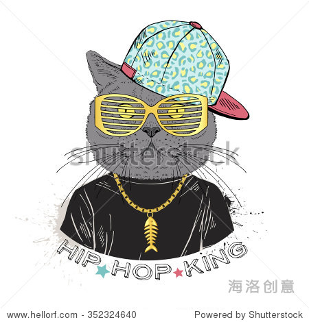 cat boy dressed up in hip hop style, hand drawn graphic, fashion