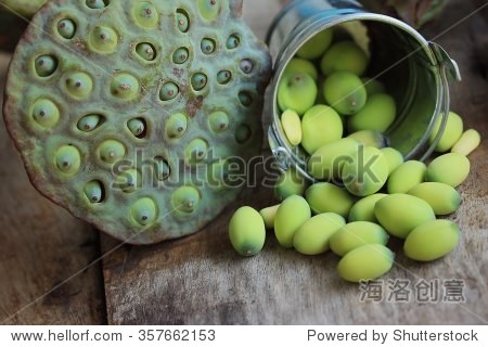 lotus seed with pod-站酷海洛正版图片, 视频, 音乐素材交易平台