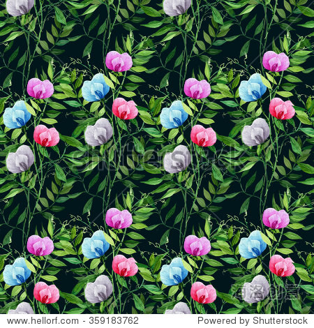 watercolor, handmade, sweet pea, leaves, flowers, buds, pattern