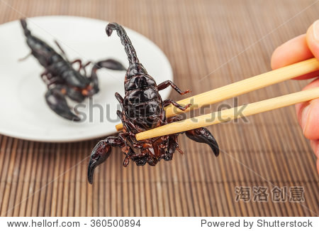 fried exotic scorpion in chopsticks - 站酷海洛 - 正版图片,视频,