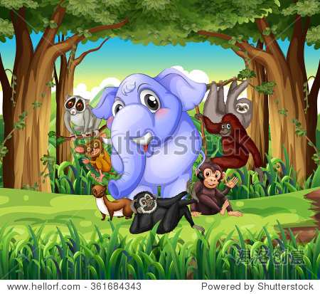 wild animals in the jungle illustration