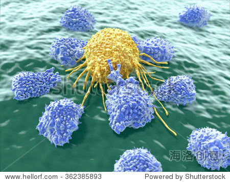 cancer cell attacked by lymphocytes
