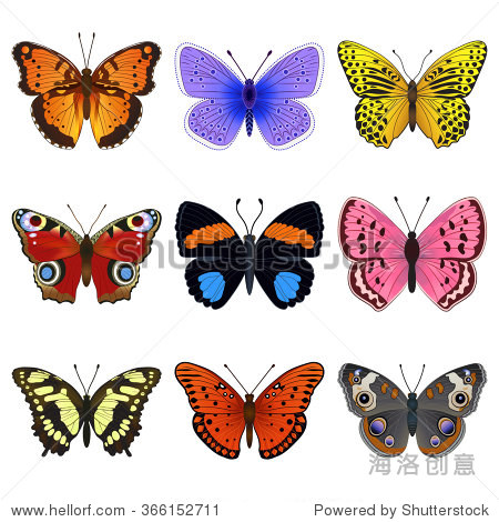 butterflies set of icons