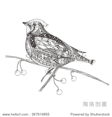 hand-drawn waxwing with ethnic doodle pattern.
