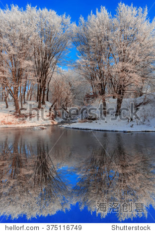 frost tree in the river. reflection in water. beauty world.