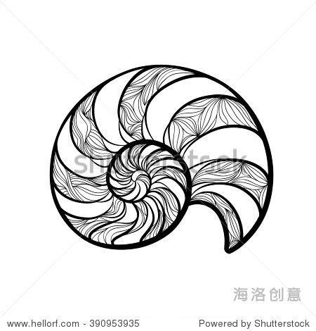 sea shell set engraved vector illustration isolated on white