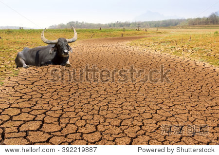 global warming drought in the summer the ground is dry reservoir
