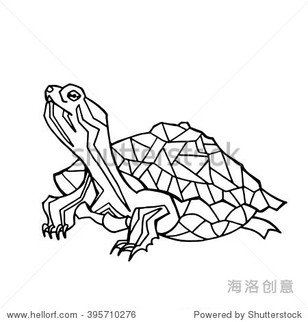 turtle coloring. vector art.