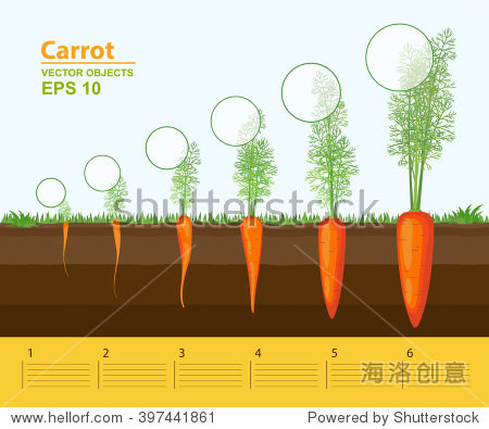 the growth of gdp_中国gdp增长图