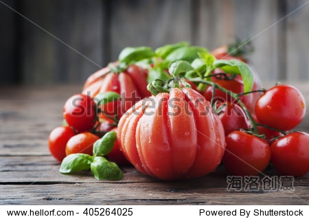 red sweet fresh tomato and basil, selective focus